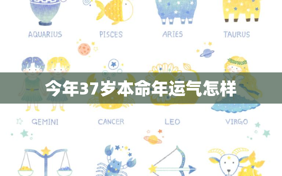 今年37岁本命年运气怎样，37岁本命年财运如何