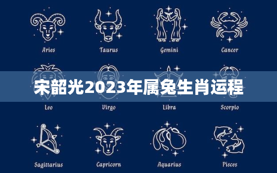 宋韶光2023年属兔生肖运程，宋韶光属兔2020年运势及运程