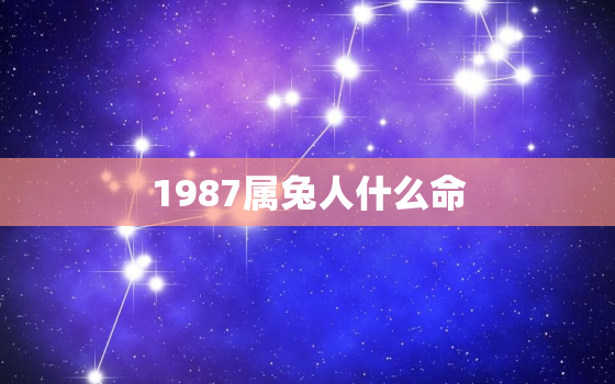 1987属兔人什么命，1987年属兔人什么命