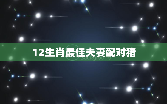 12生肖最佳夫妻配对猪，十二生肖猪的最佳婚配