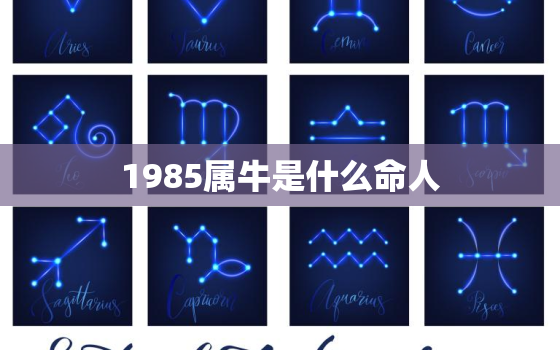 1985属牛是什么命人，1985属牛是什么牛