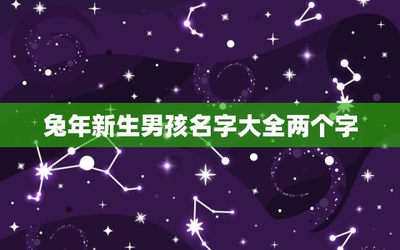 兔年新生男孩名字大全两个字，兔年新生男孩名字大全两个字