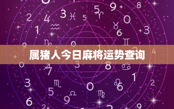 属猪人今日麻将运势查询，属猪人今日麻将占卜抽签