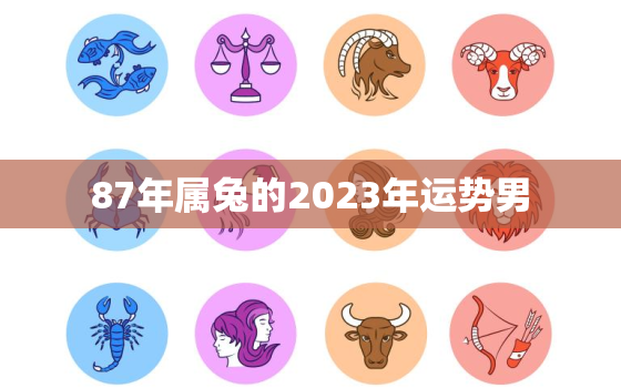 87年属兔的2023年运势男，1987年属兔2023年运势男