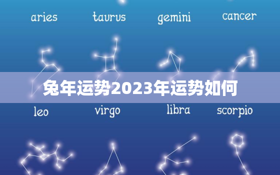 兔年运势2023年运势如何，兔年运势2023年运势12生肖