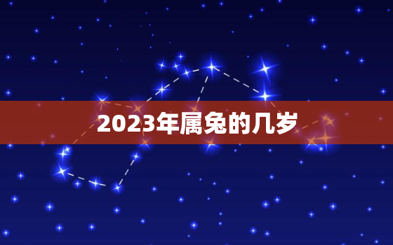 2023年属兔的几岁，2023年属兔的人多大