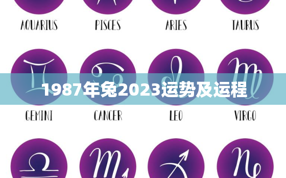 1987年兔2023运势及运程，1987年兔2023年运势