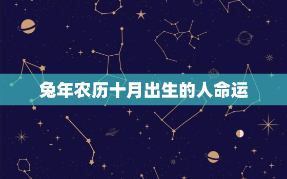 兔年农历十月出生的人命运，属兔农历十月出生是什么命