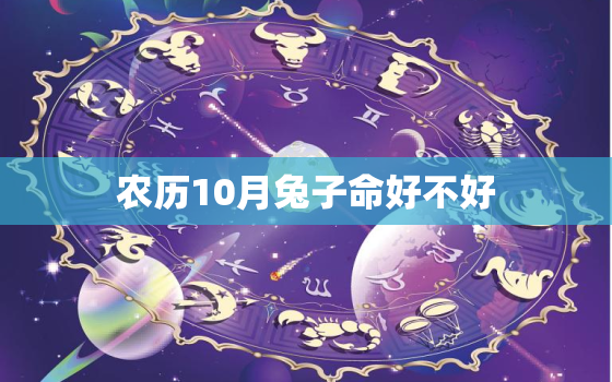 农历10月兔子命好不好，农历10月的兔子命运怎么样