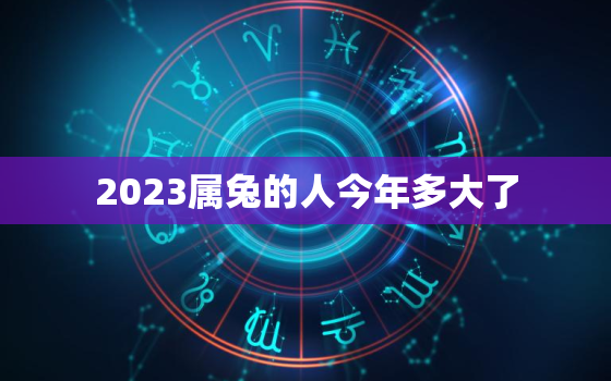 2023属兔的人今年多大了，2023年属兔吗