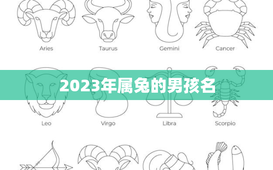 2023年属兔的男孩名，2023年属兔的男孩名字怎么取