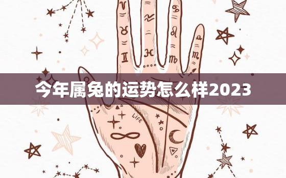 今年属兔的运势怎么样2023，属兔人今年运势2023年每月运势