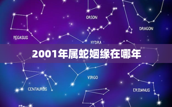 2001年属蛇姻缘在哪年，2001年的蛇什么时候有婚姻