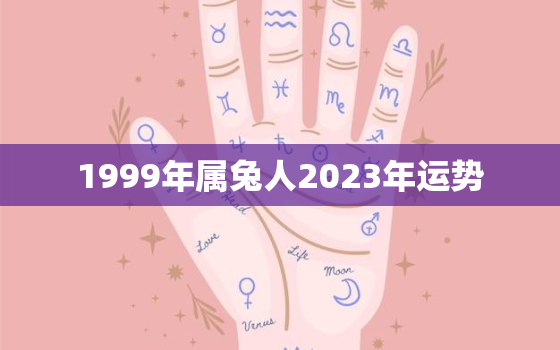 1999年属兔人2023年运势，1999年属兔的命运