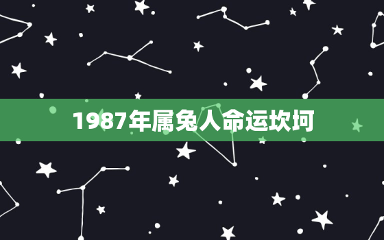 1987年属兔人命运坎坷，1987年属兔人命运如何