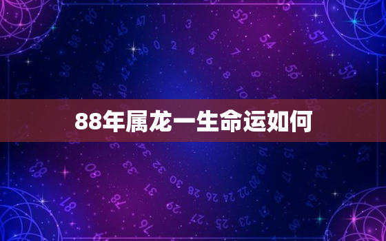 88年属龙一生命运如何，88年属龙人命运如何