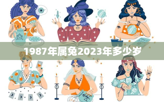 1987年属兔2023年多少岁，1987年属兔人2023年运势如何