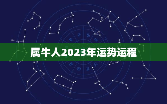 属牛人2023年运势运程，属牛人2023年运势运程女