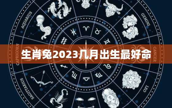 生肖兔2023几月出生最好命，属兔2023几月出生最好命运