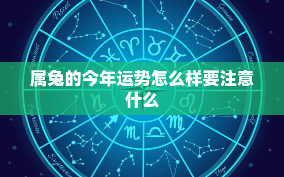 属兔的今年运势怎么样要注意什么，属兔的今年运势怎么样2021年