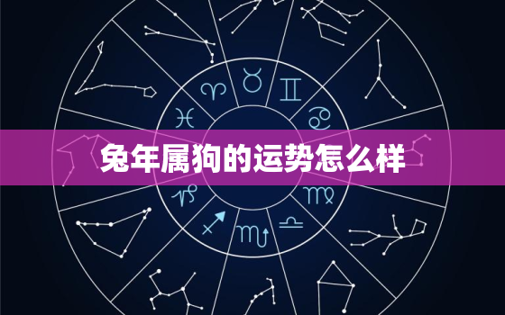 兔年属狗的运势怎么样，2023年属兔子的运程