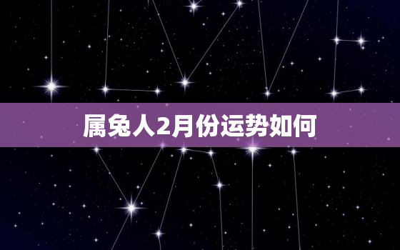 属兔人2月份运势如何，属兔2月份运势怎么样