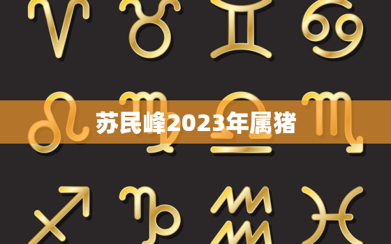 苏民峰2023年属猪，2023年属猪的命运