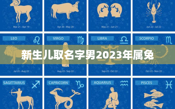 新生儿取名字男2023年属兔，2023兔年男孩取什么名字好