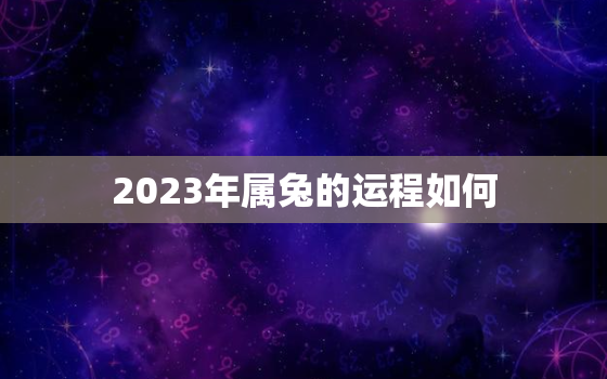 2023年属兔的运程如何，2023年属兔的运程如何