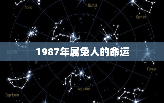 1987年属兔人的命运，1987年属兔人命运坎坷