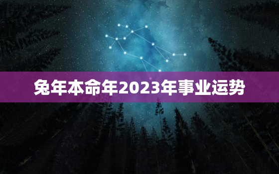 兔年本命年2023年事业运势，2023年兔年本命年可以结婚吗