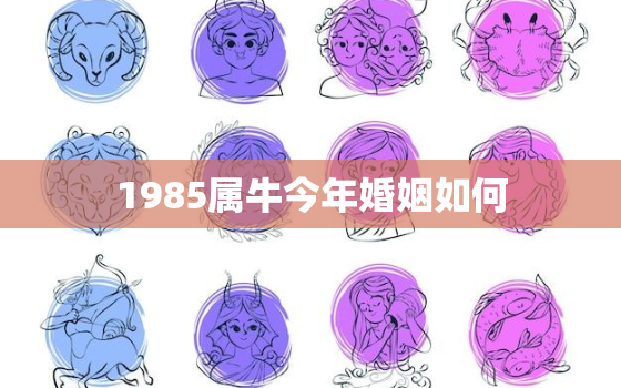 1985属牛今年婚姻如何，85属牛今年婚姻怎么样