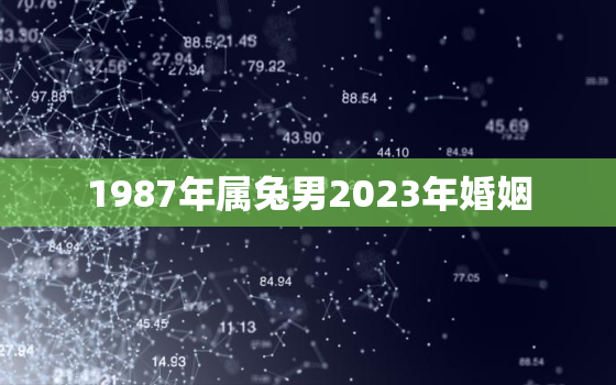 1987年属兔男2023年婚姻，87年属兔2023年婚姻状况如何