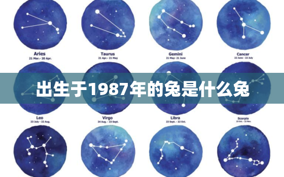 出生于1987年的兔是什么兔，1987年兔子是什么兔