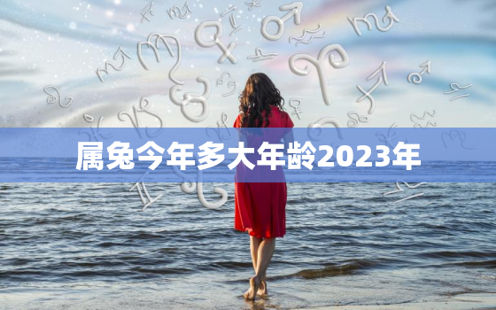 属兔今年多大年龄2023年，2021年属兔今年多大年龄了?