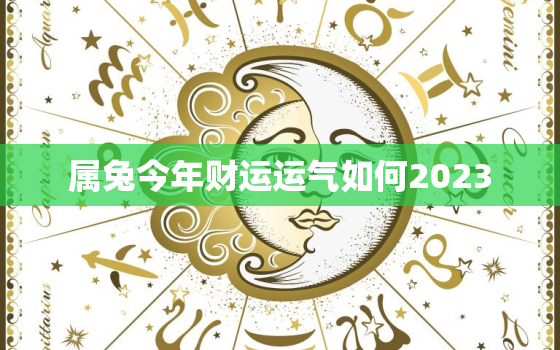 属兔今年财运运气如何2023，属兔今年的财运