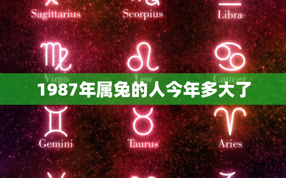 1987年属兔的人今年多大了，1987年属兔的今年多少岁