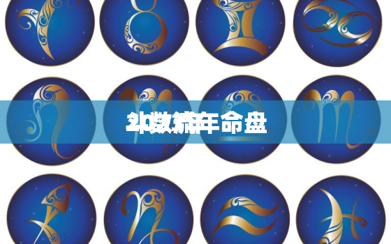 2023年
斗数流年命盘，2022年
流年命盘