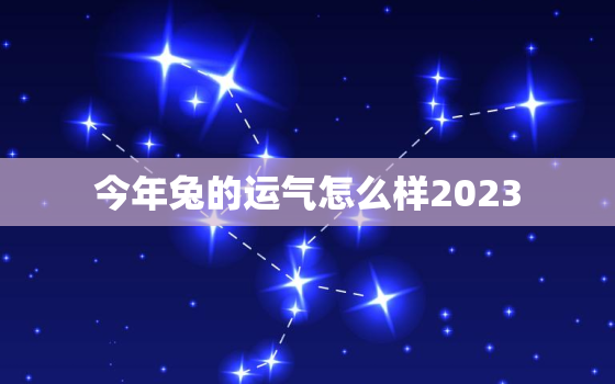 今年兔的运气怎么样2023，今年兔人命运财运怎样