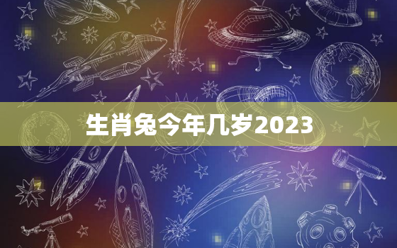 生肖兔今年几岁2023，生肖兔今年几岁2023 生肖鼠今年多大年龄2023