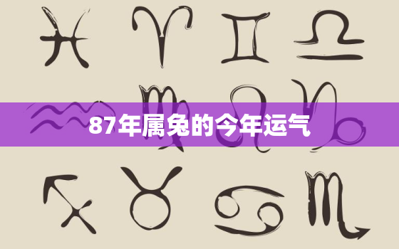 87年属兔的今年运气，87年属兔今年运程