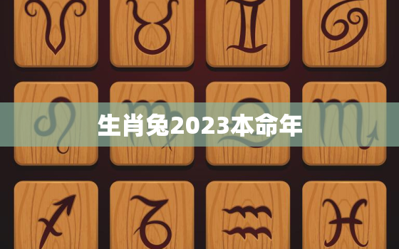 生肖兔2023本命年，生肖兔2023本命年怎么样