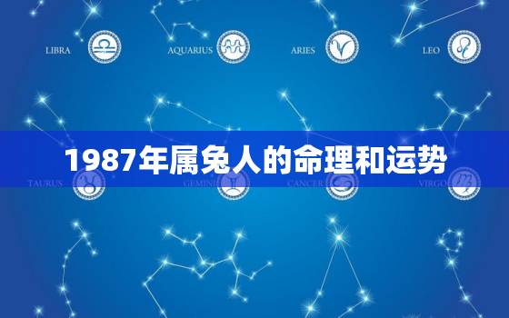 1987年属兔人的命理和运势，1987年属兔的命运好不好