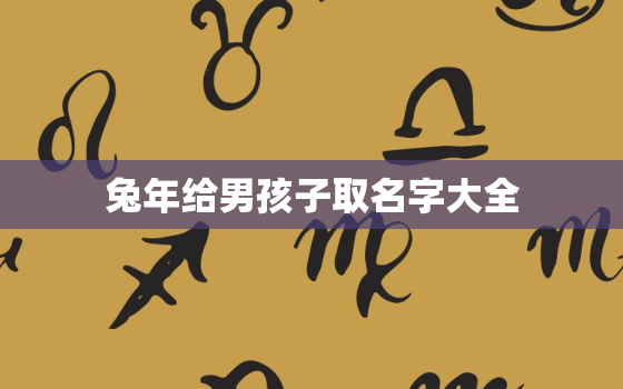 兔年给男孩子取名字大全，兔年男孩名字首选