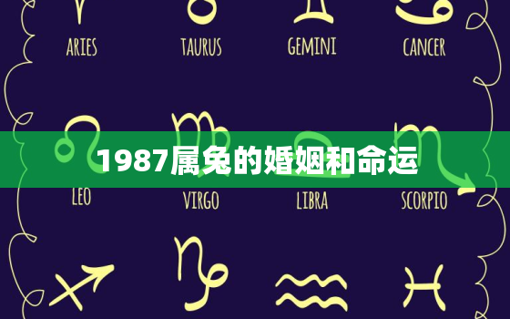 1987属兔的婚姻和命运，87年属兔人婚姻及一生运势