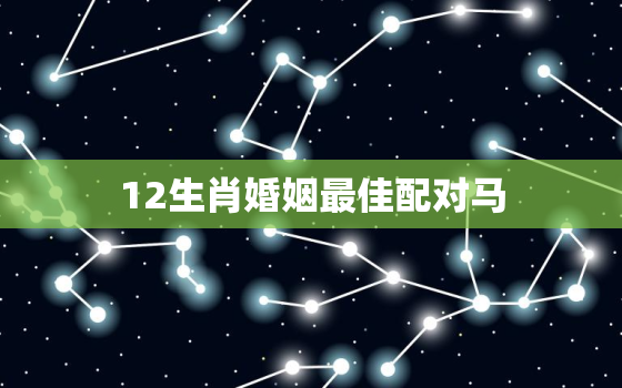 12生肖婚姻最佳配对马，十二生肖马婚姻配对最好