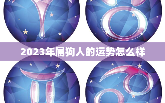 2023年属狗人的运势怎么样，2023年属狗运势如何