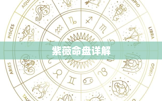 紫薇命盘详解(免费版)，紫薇命盘详解免费版文墨
