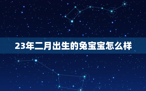 23年二月出生的兔宝宝怎么样，23年兔宝宝几月出生最好