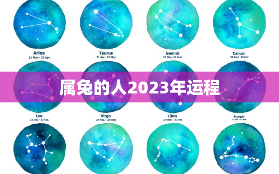 属兔的人2023年运程，肖狗人2023年总体运程